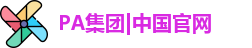PA集团